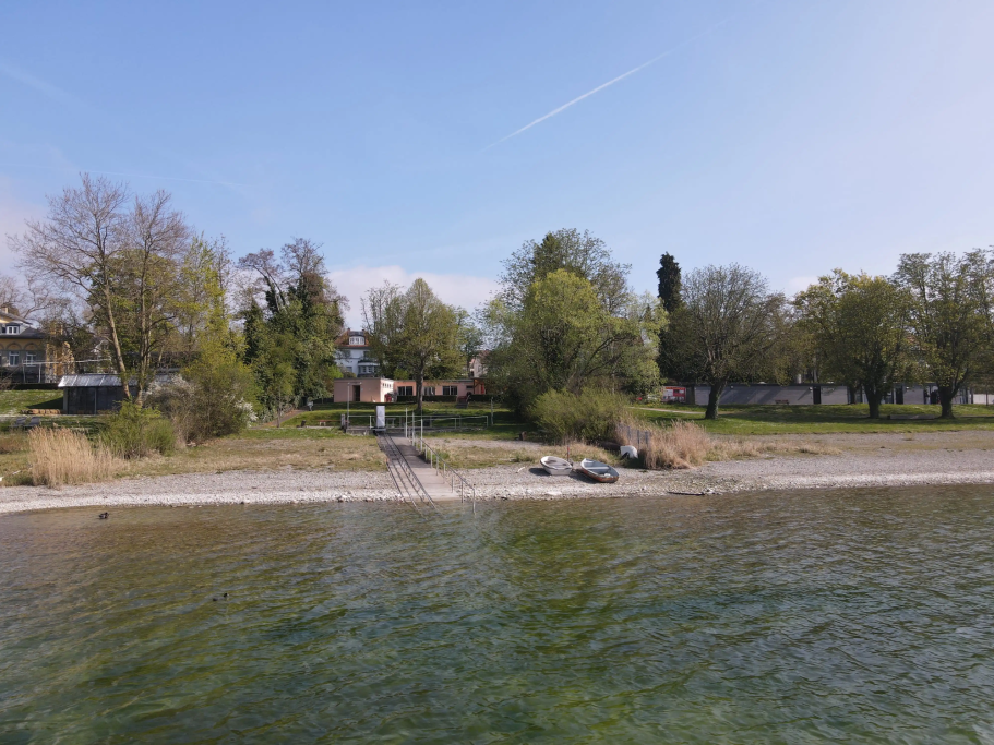 Blick vom Bodensee auf das Vereinsgelände des BRSV Radolfzell mit Uferbereich und Bäumen.
